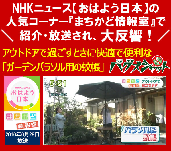 バグズシャットがメディアで初回されました!